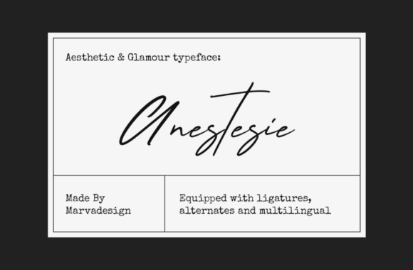 Anestesie: Elevating Design with Elegant Typography