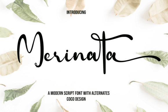 Merinata: Elegance in Every Letterform